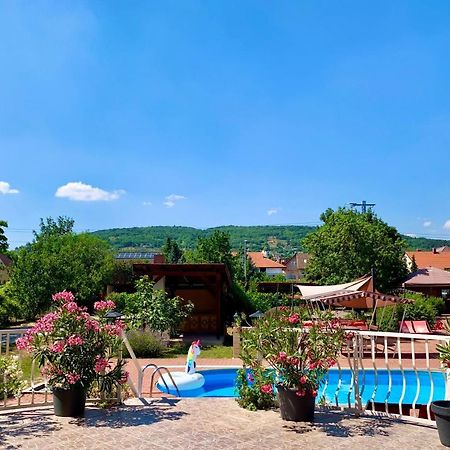 Andrea Pansio Acomodação com café da manhã Balatonfüred Exterior foto